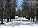 planay_MC05-63.JPG
